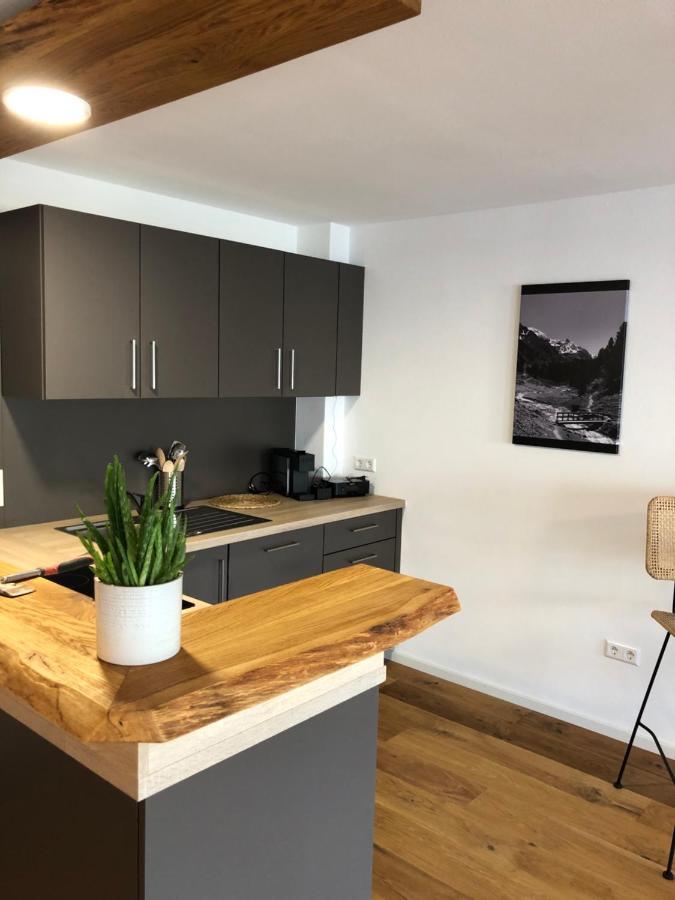 Modernes Apartment Gondelsheim Extérieur photo